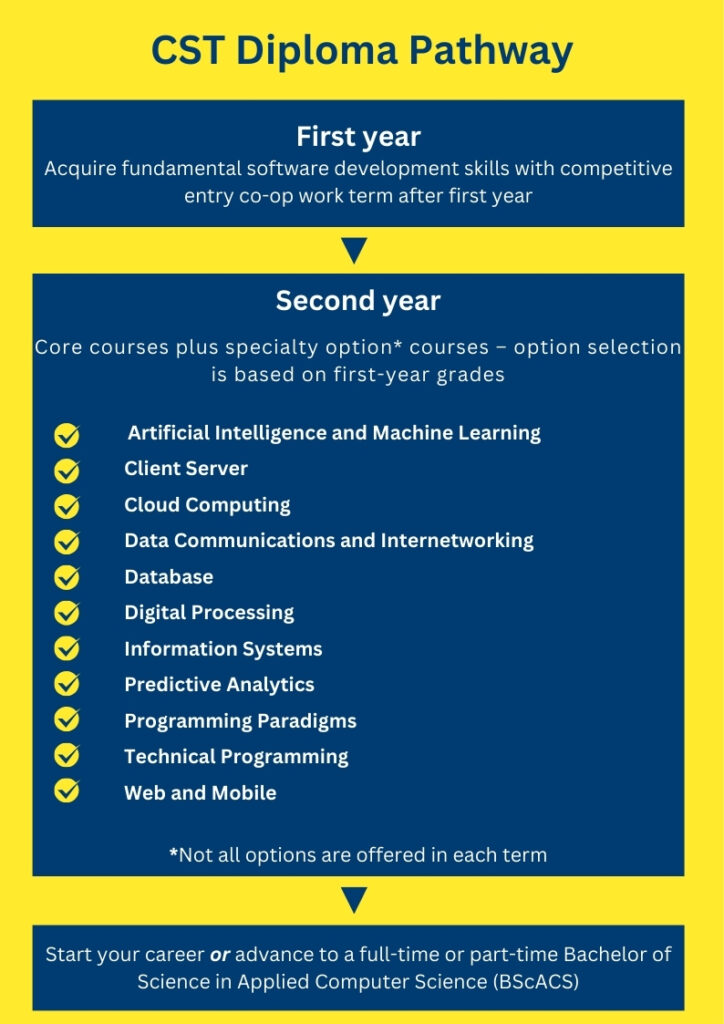 Graphic of paths from common first year to entering workforce, showing the different specialty option courses that are described lower on the page as well.